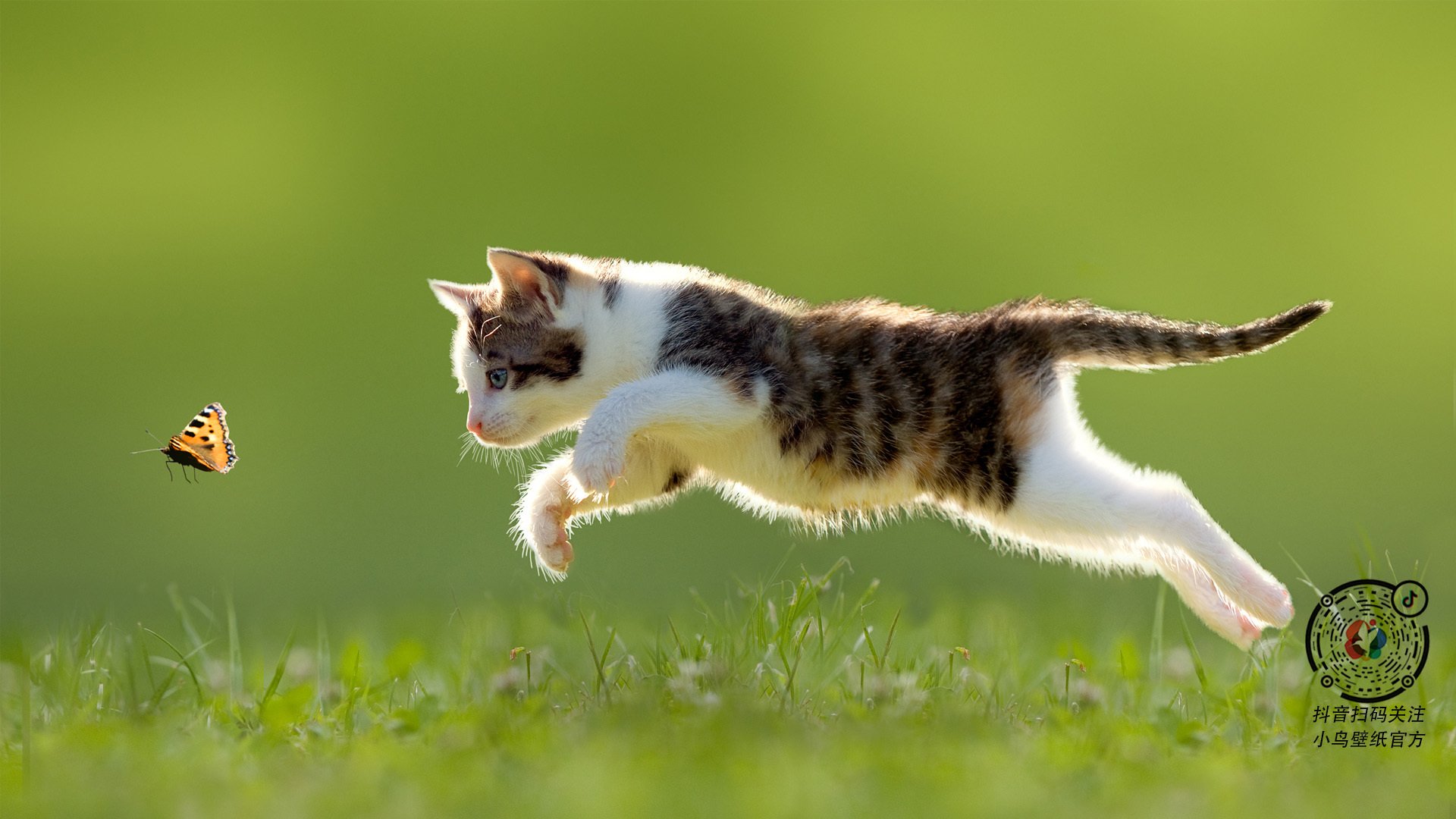 kaiyun网站-“法甲实力悬殊，场面火爆引人关注”，法甲强队实力分析